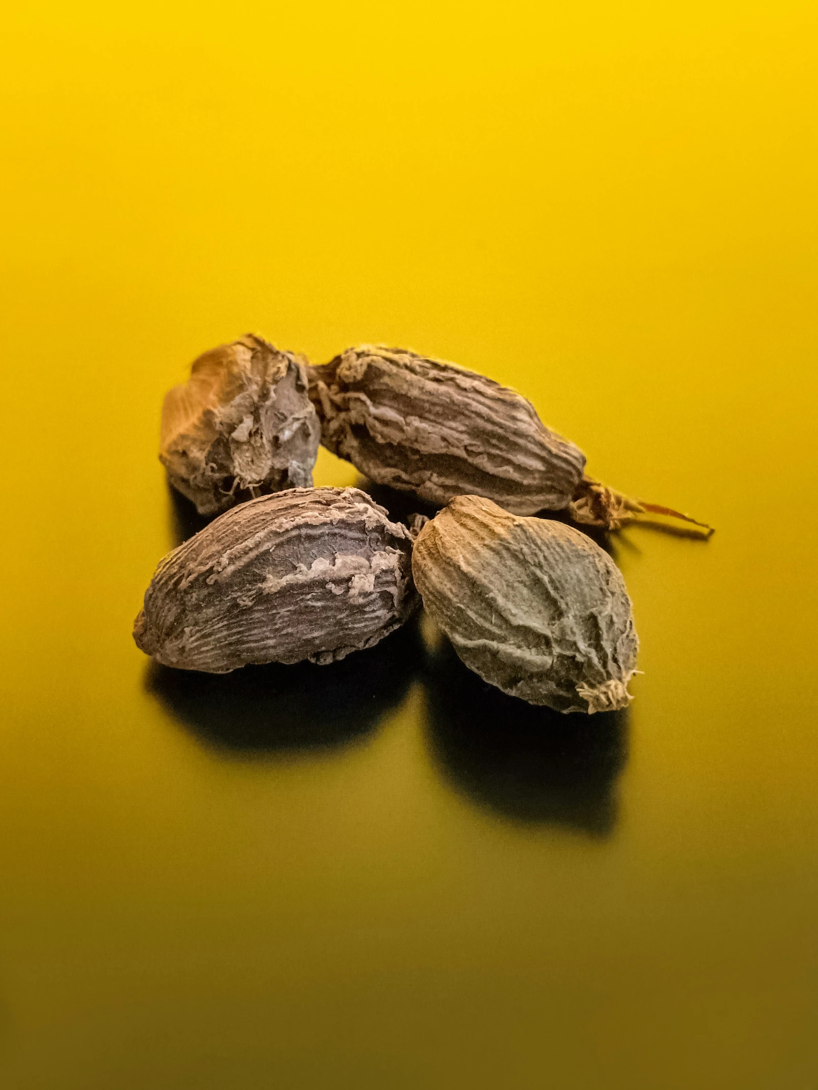 an image of three dried nuts on yellow surface