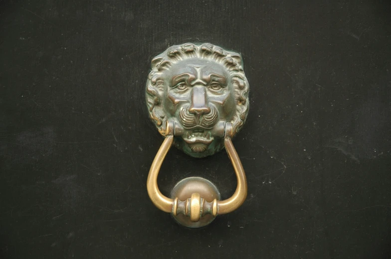 a ss handle on an antique door with a face on it