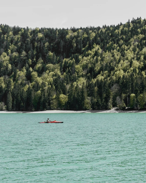 a person is in a canoe floating near trees