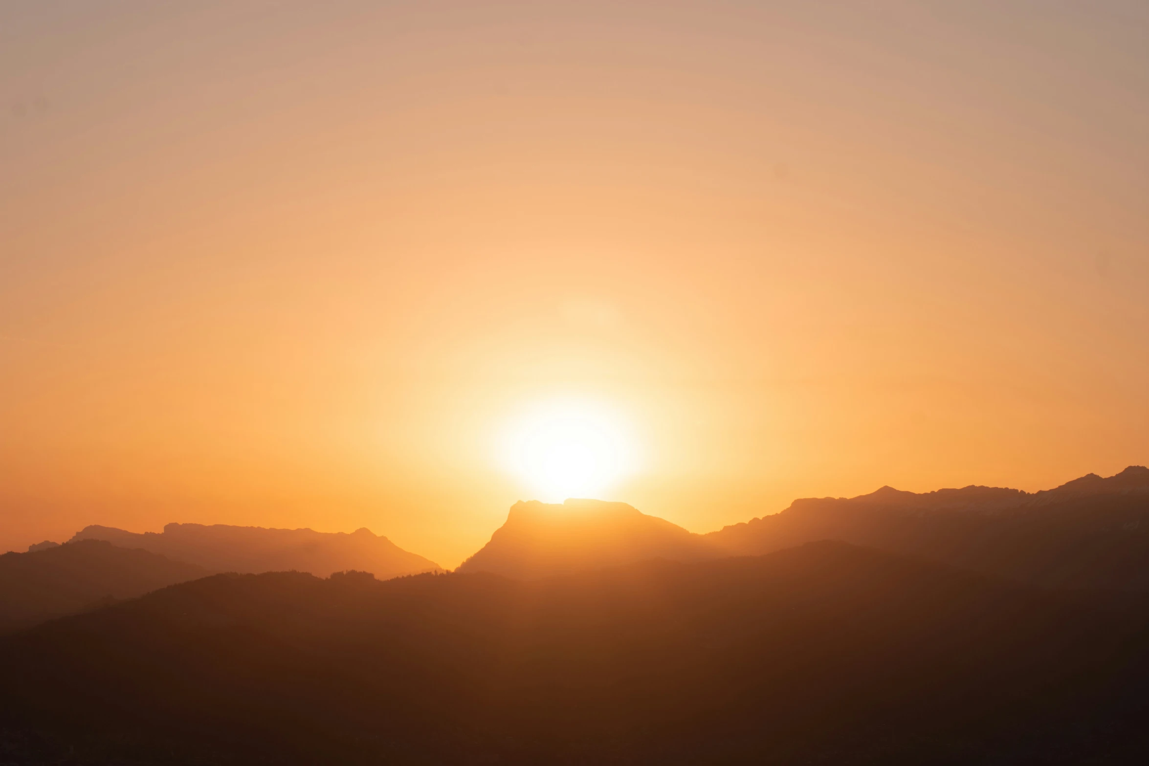 a bird flying in the sunset over mountains