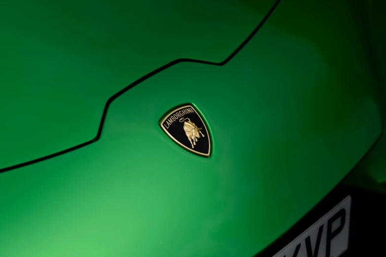 the emblem on the car is green and black