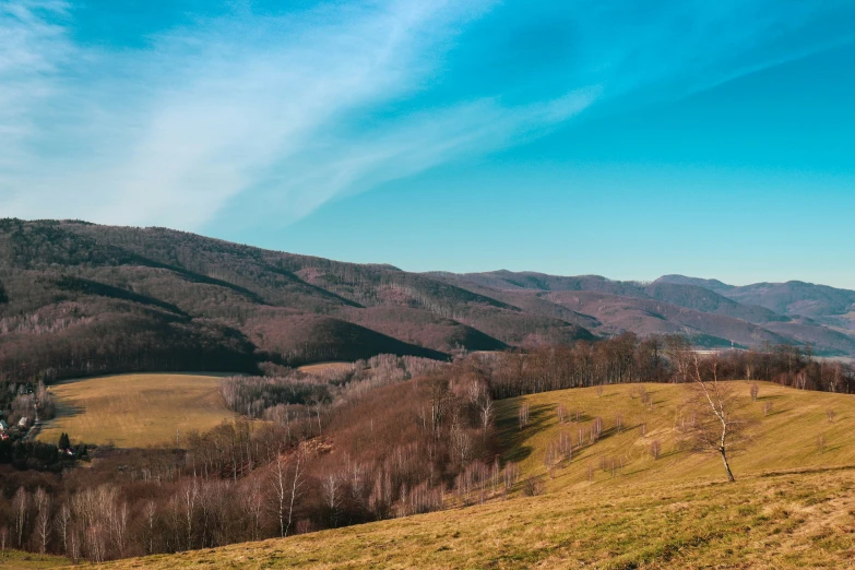 two animals grazing on the grass in front of a mountain view