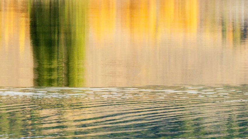 an orange, green and yellow reflection on water
