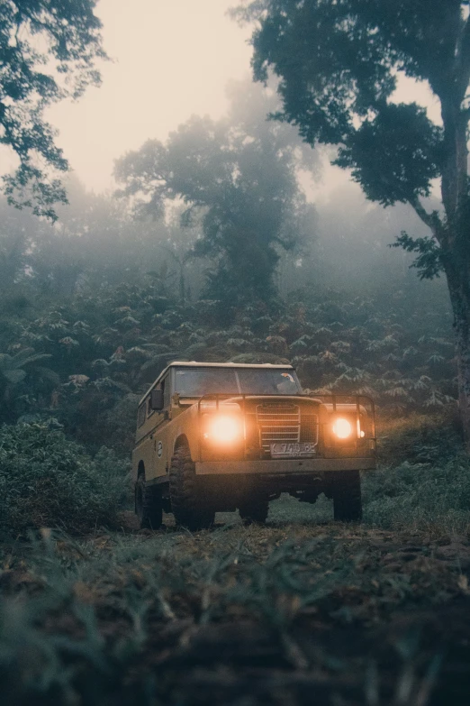 jeep light coming down through a forest on a foggy day