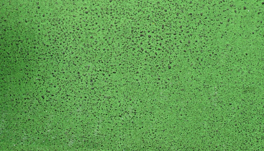 a close - up image of a green area of concrete