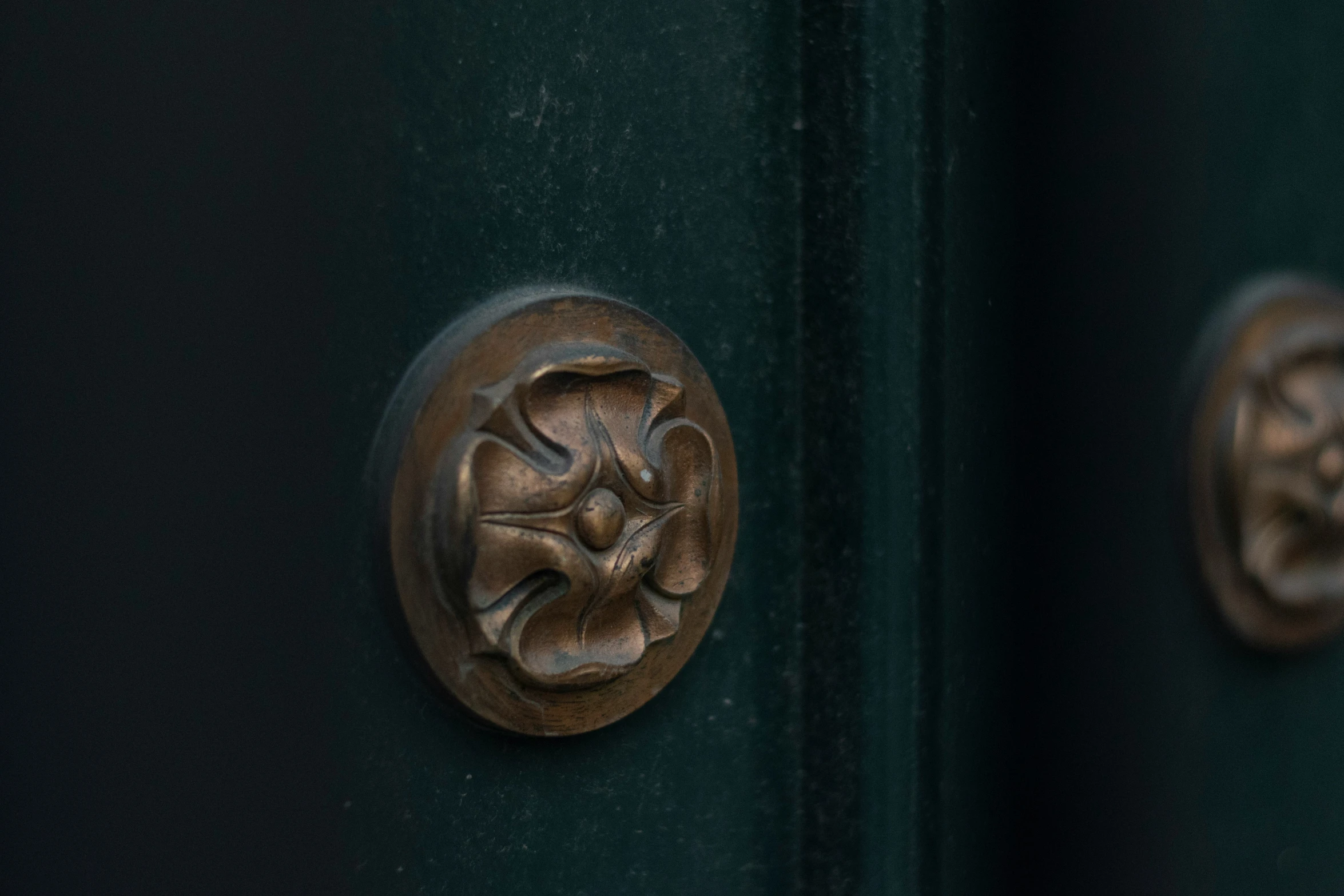 the door s are showing a circular motif