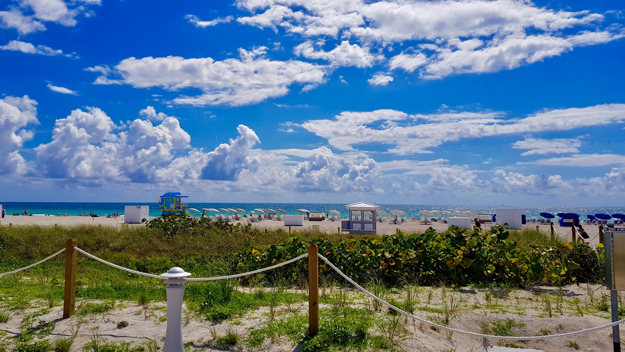 a fence with green bushes and white posts along a beach