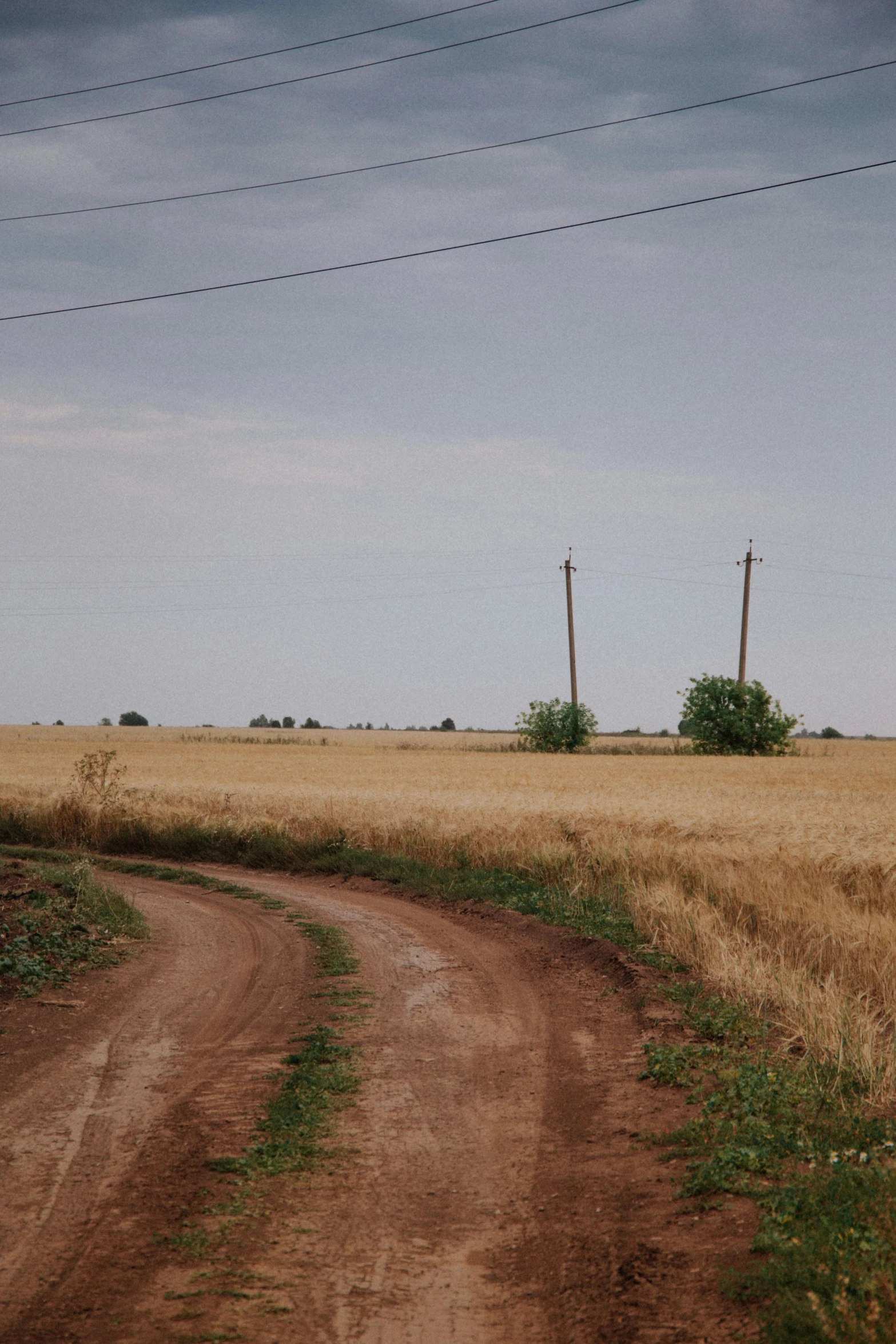 two poles and a road passing through some grass