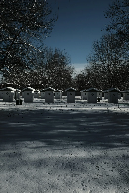 the snow covered graves are arranged in black and white