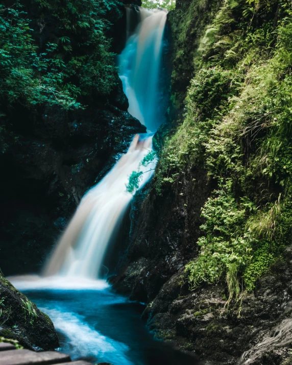 a narrow waterfall cascades down into the woods