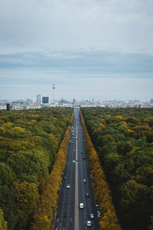 a highway is shown surrounded by trees in the foreground