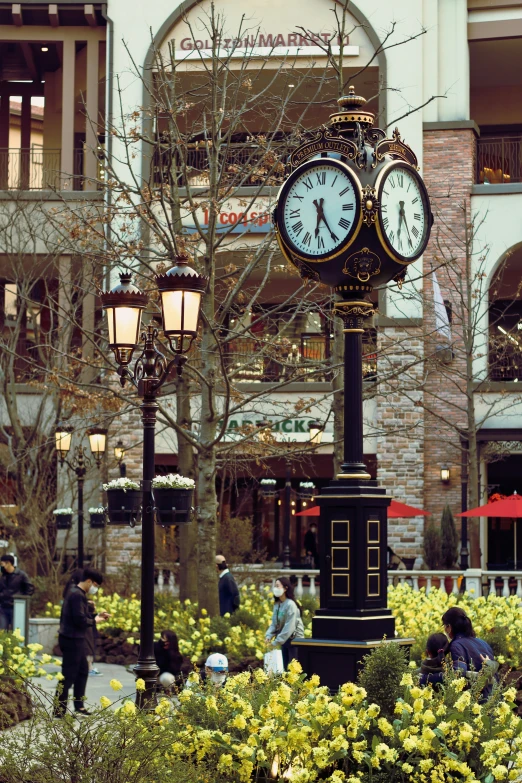 a clock on a pole in the middle of the street