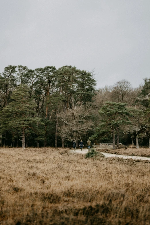 a field with trees and dirt road in the distance