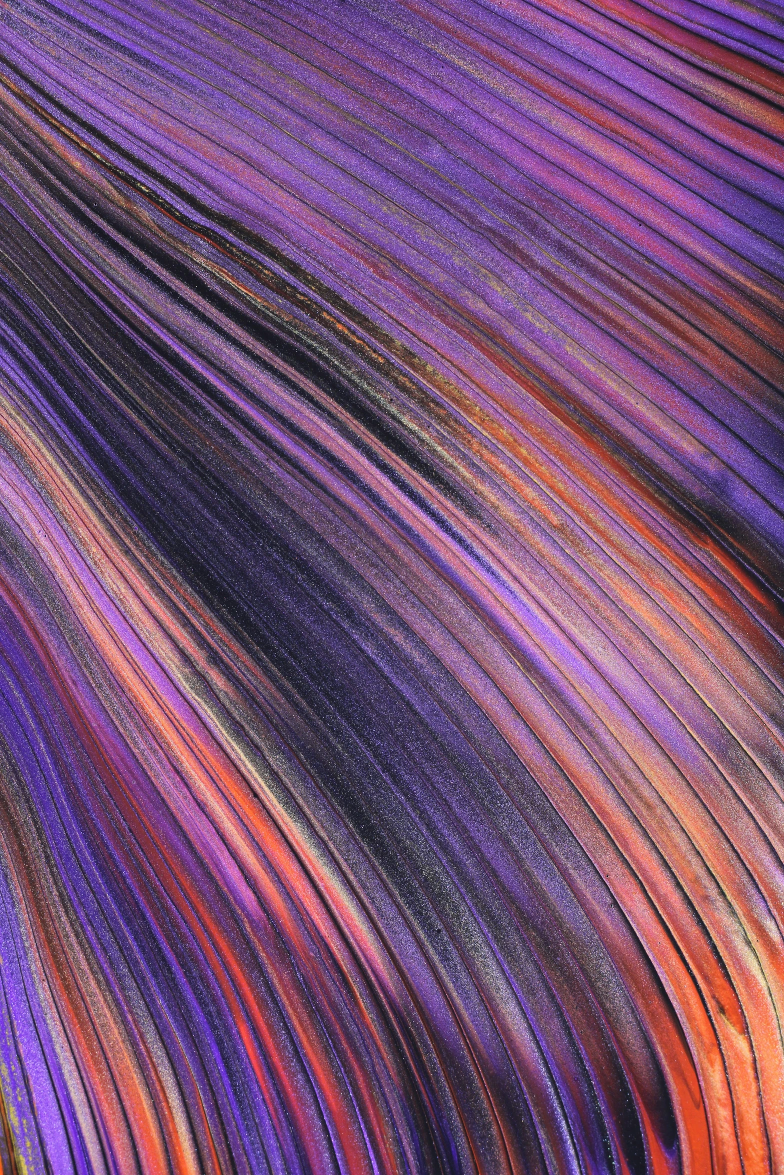 purple and orange lines with a white outline