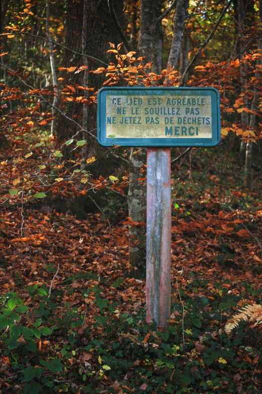 a blue sign is in front of some leaves