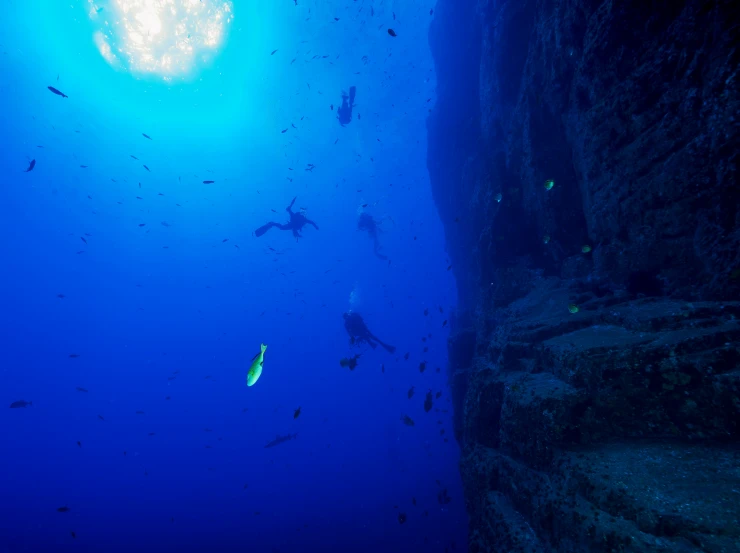 a blue sea filled with small fish