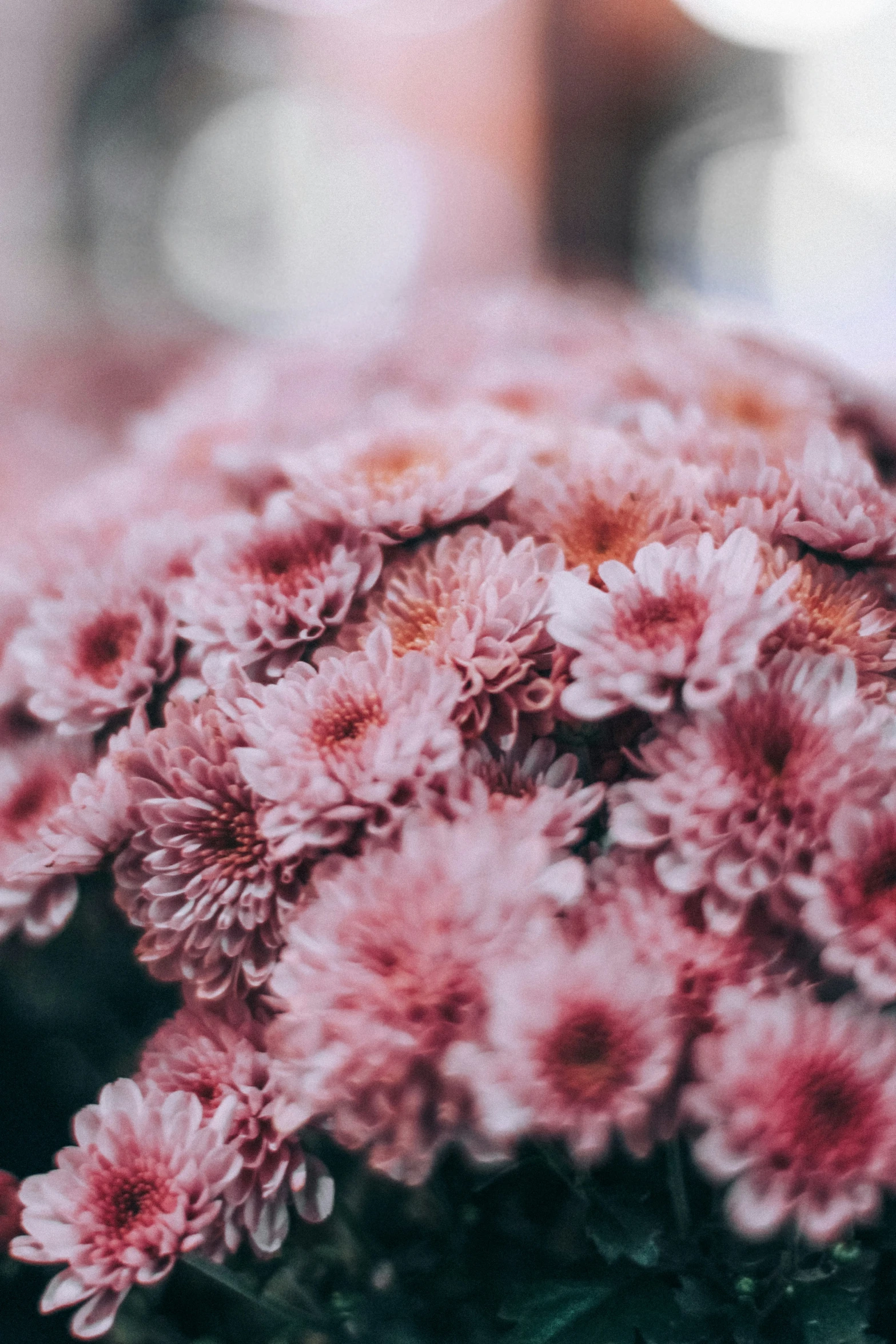 a bouquet of pink flowers on display in a vase