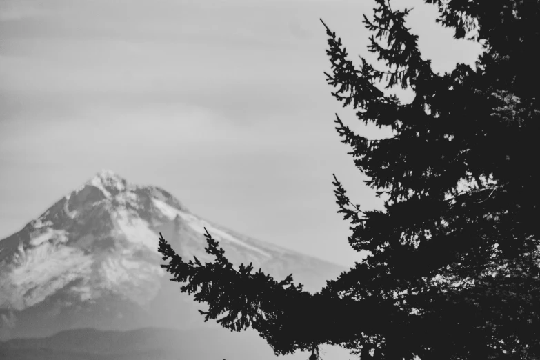 a mountain peak rising above a forest