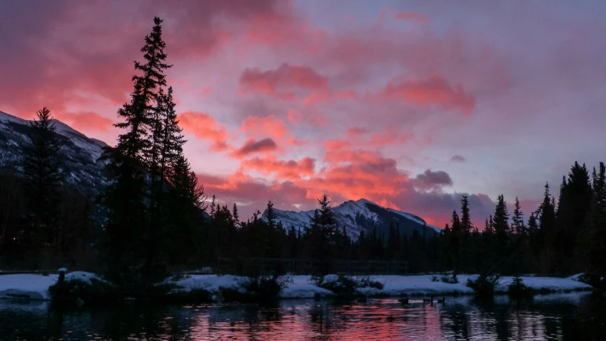 trees along side a mountain lake at sunset