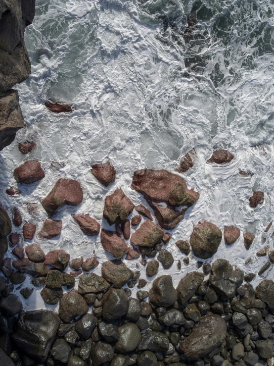 the rocky shoreline of a body of water