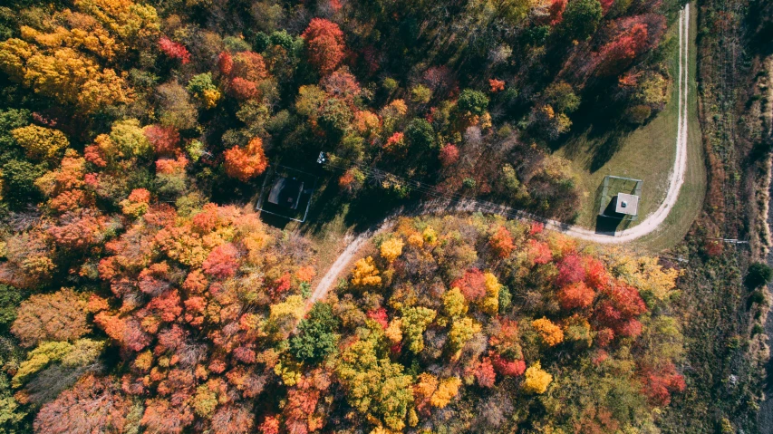 an overhead s of a road in a rural area surrounded by trees