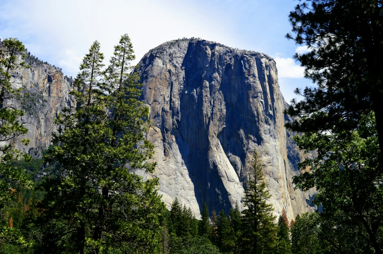 a mountain and pine trees under blue sky