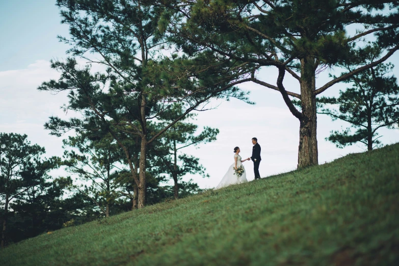 a bride and groom stand on a grassy hill under two pine trees