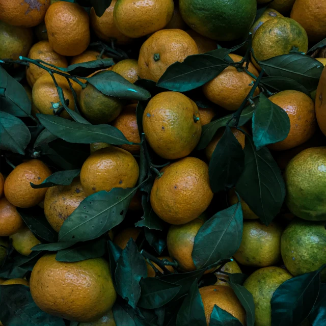 a pile of oranges and lemons with green leaves