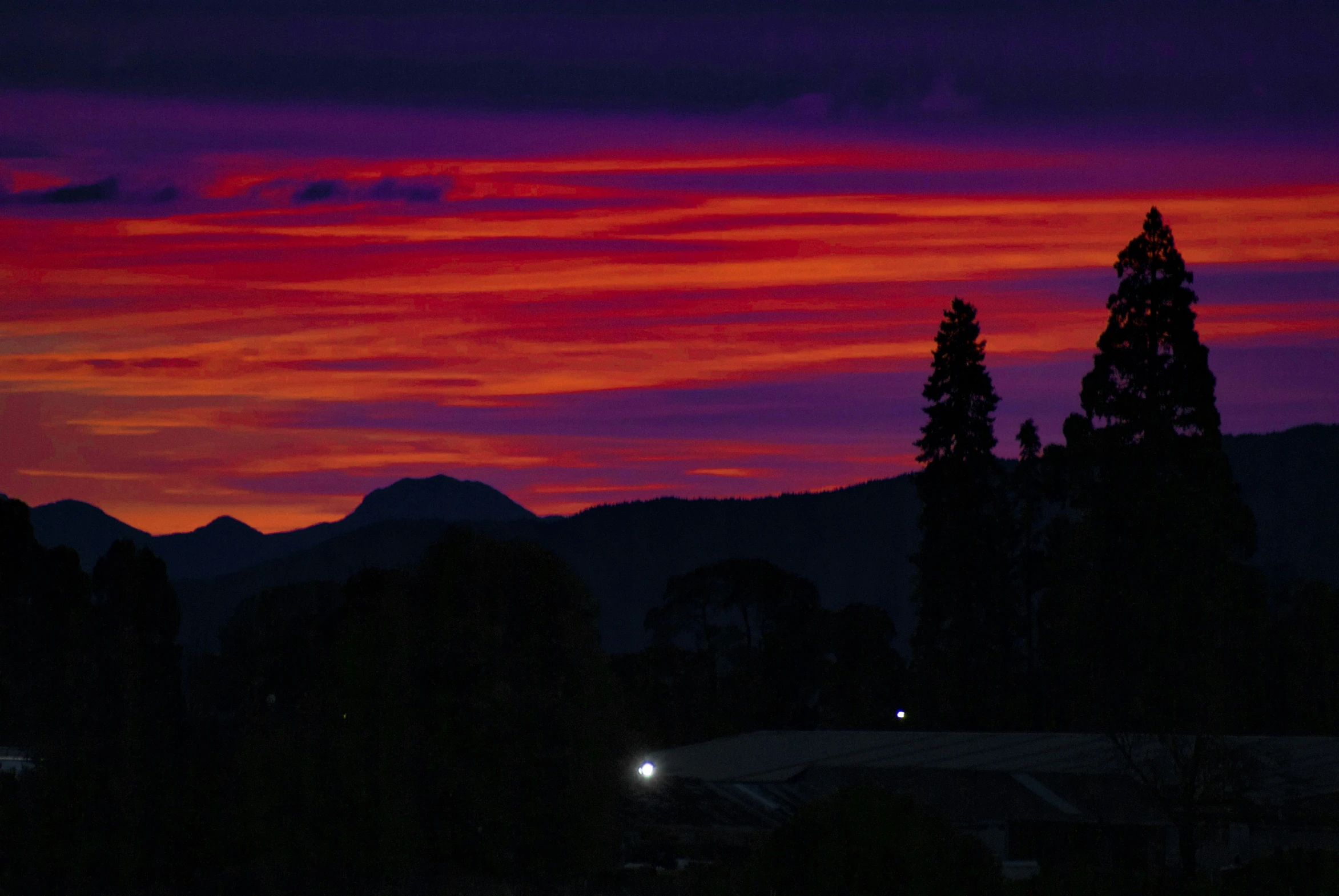 a view of trees and buildings at sunset