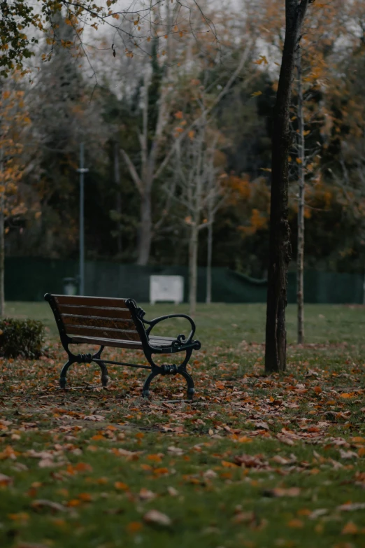 a bench in a park in the autumn