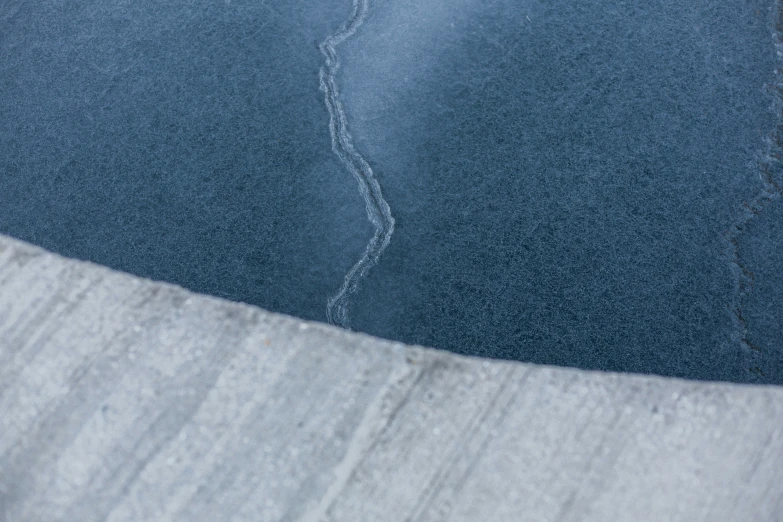 a small white bird flying over the blue surface