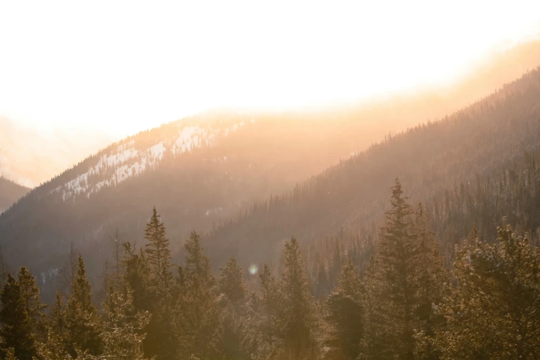 mountains and trees that are covered in snow