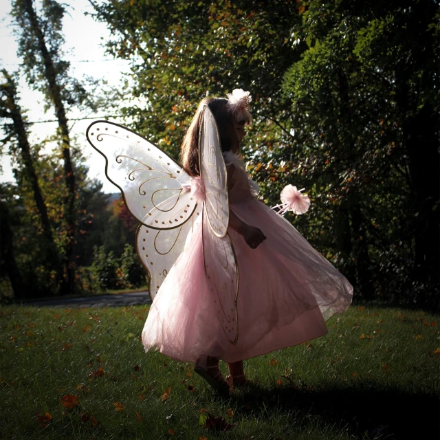a  in pink dress dressed as a fairy with her erfly wings