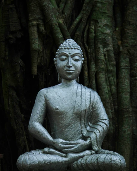 a buddha statue sitting next to a tree