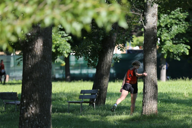 people in a park sitting on benches under trees