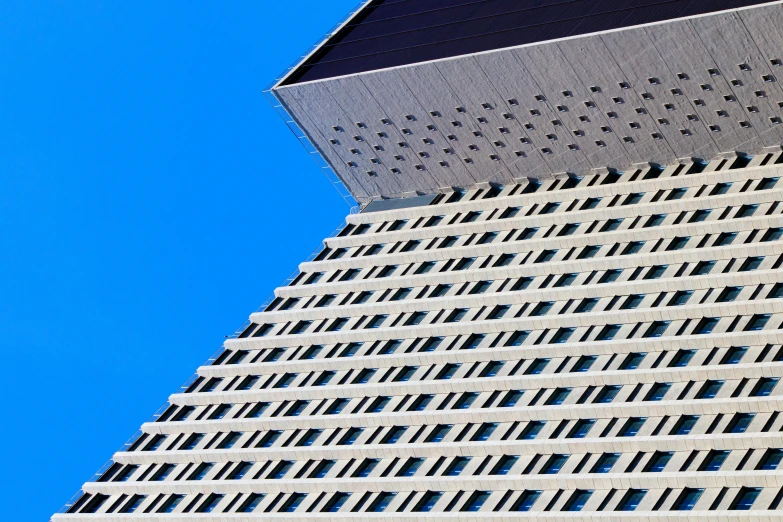 a bird is perched on top of a building