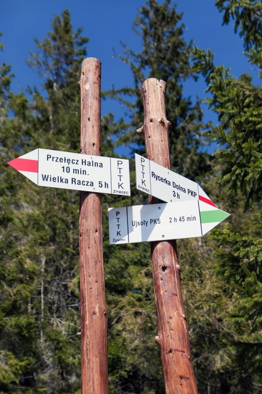 three directional signs in front of the trees