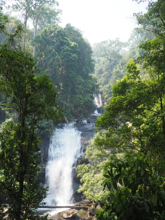 the waterfall and the surrounding trees in the jungle