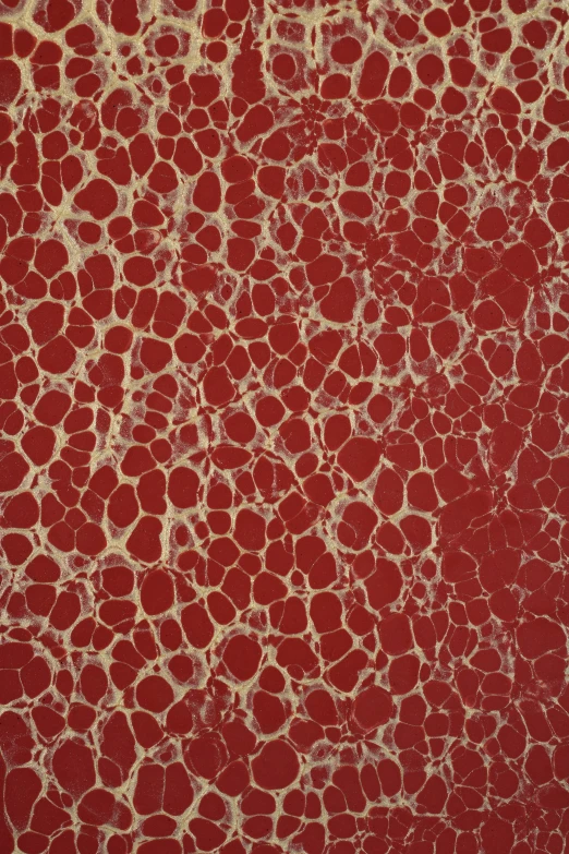 an abstract painting made up of small circles and circles on red