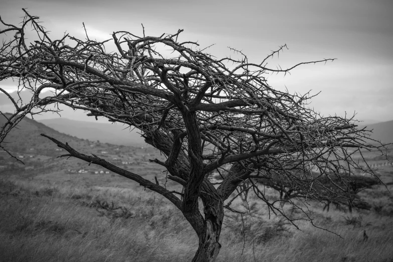 an abstract po of a black and white landscape