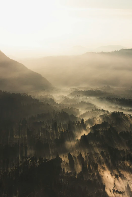 fog rolls in over the mountains with a forest below