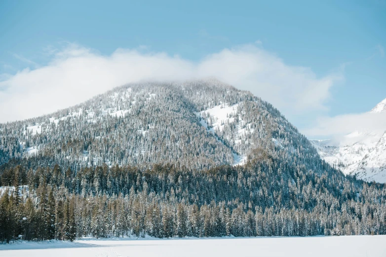 a tree - lined mountain looms over a snowy plain