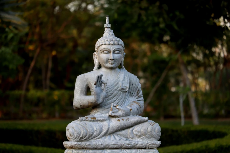 a small statue of a buddha surrounded by a garden of trees
