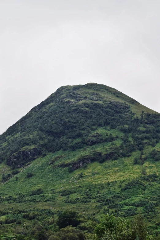 the mountains are green and brown on the hillside