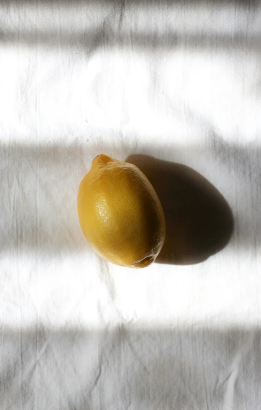 a fruit sitting on a white sheet with shadows