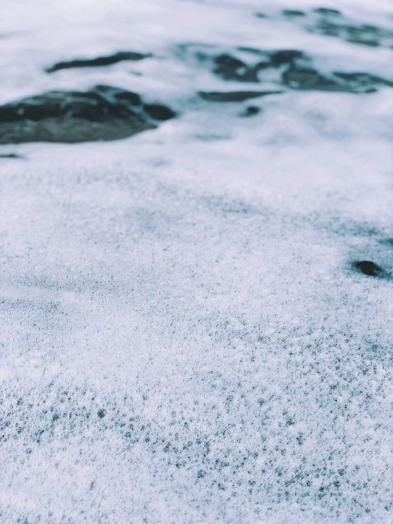 the ground is covered with snow and black dots