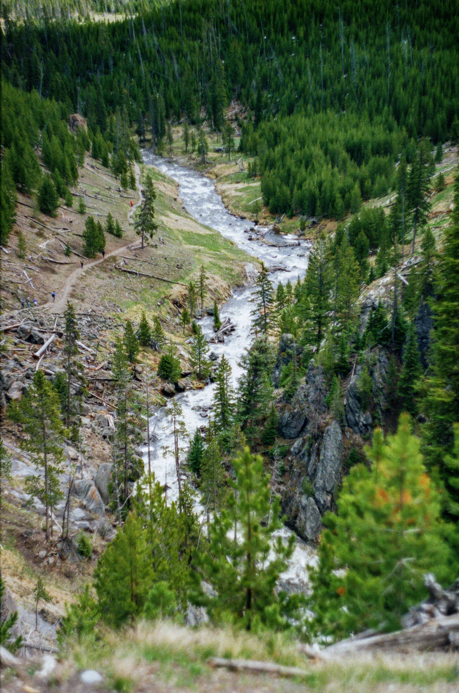 the river flowing among the trees and rocks