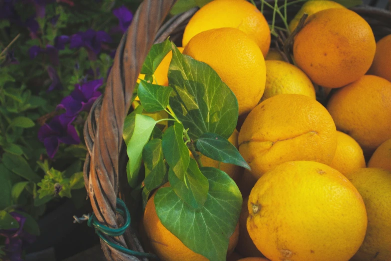 a wicker basket with several citrus fruits