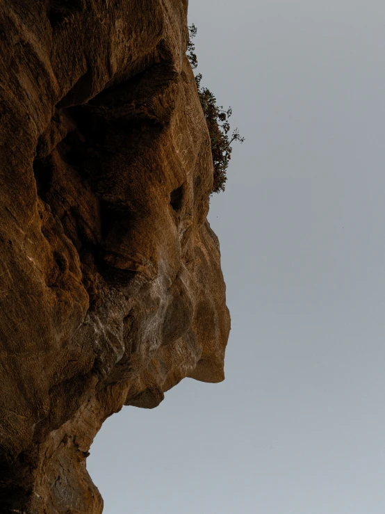 a bird sitting on top of the edge of a cliff