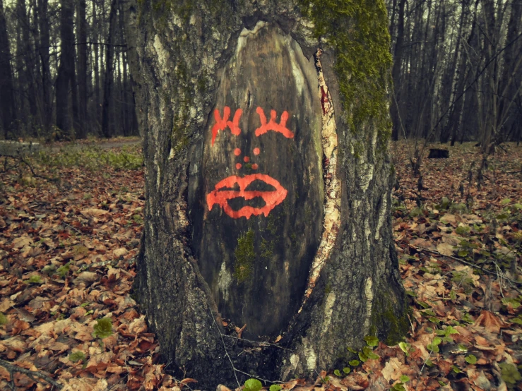 a piece of wood with graffiti painted on it in the forest